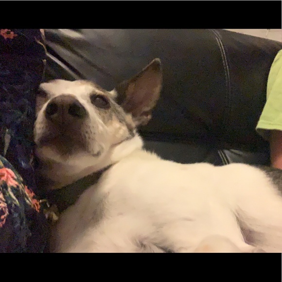 Meet MEEEEE, Jenny! :) hi! π hello - Picture 6 of 8